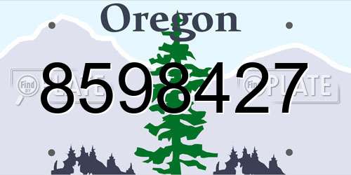 8598427 Oregon License Plate