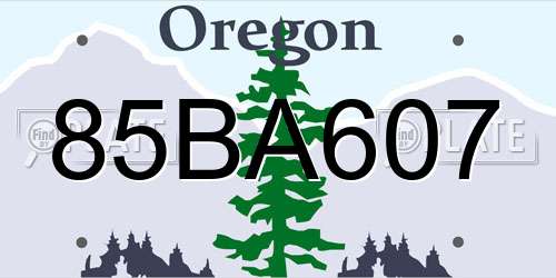 85BA607 Oregon License Plate