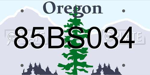 85BS034 Oregon License Plate