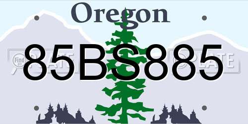 85BS885 Oregon License Plate