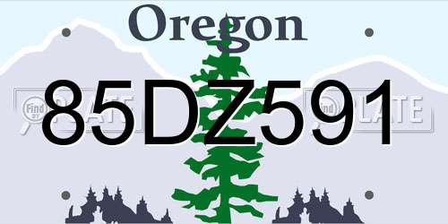 85DZ591 Oregon License Plate