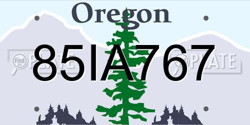 85IA767 Oregon License Plate