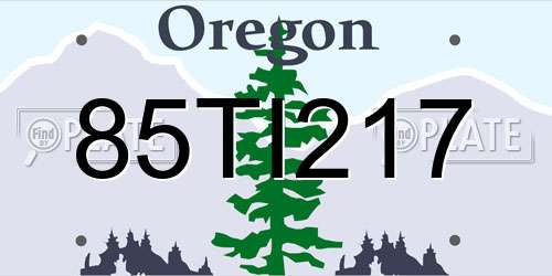 85TI217 Oregon License Plate