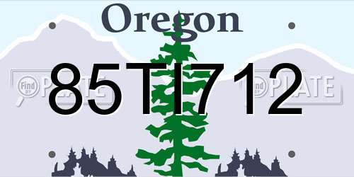 85TI712 Oregon License Plate