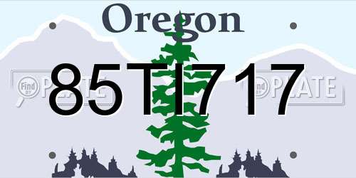 85TI717 Oregon License Plate