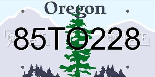 85TO228 Oregon License Plate