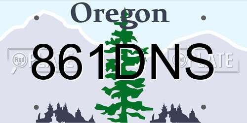 861DNS Oregon License Plate