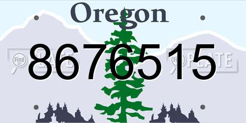 8676515 Oregon License Plate