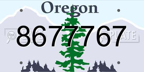 8677767 Oregon License Plate