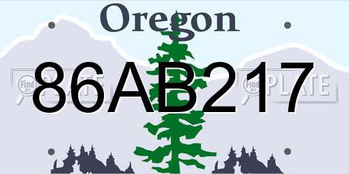86AB217 Oregon License Plate