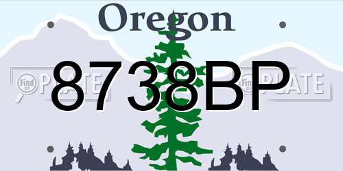 8738BP Oregon License Plate