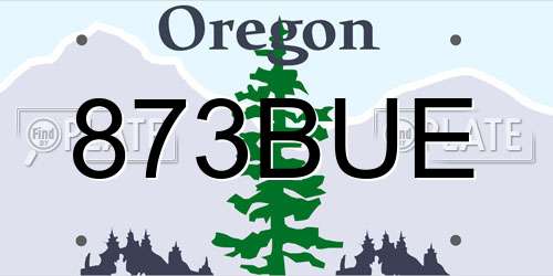 873BUE Oregon License Plate