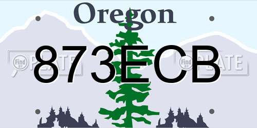 873ECB Oregon License Plate
