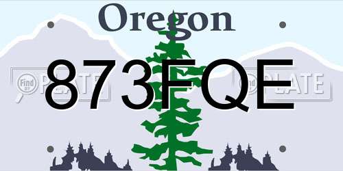 873FQE Oregon License Plate