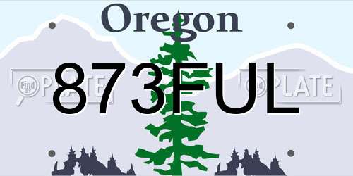 873FUL Oregon License Plate
