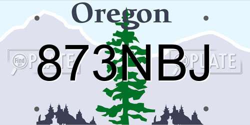 873NBJ Oregon License Plate