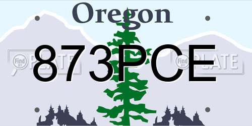 873PCE Oregon License Plate