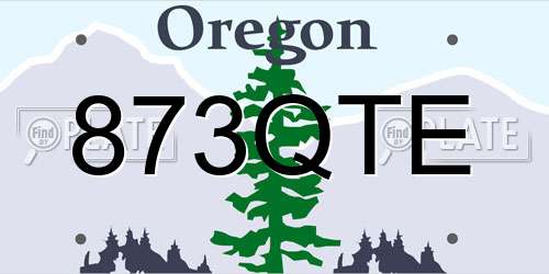 873QTE Oregon License Plate