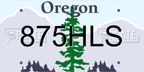 875HLS Oregon License Plate