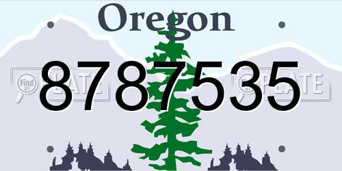 8787535 Oregon License Plate