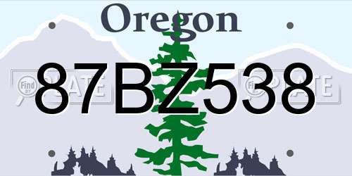 87BZ538 Oregon License Plate