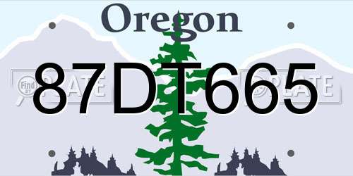 87DT665 Oregon License Plate