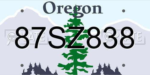 87SZ838 Oregon License Plate