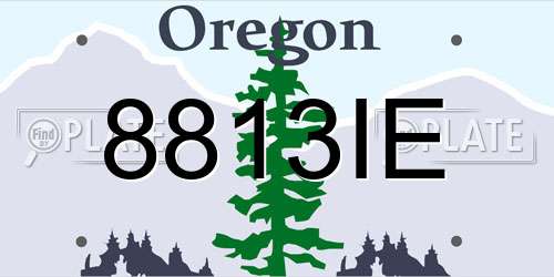 8813IE Oregon License Plate