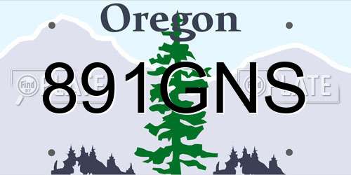 891GNS Oregon License Plate