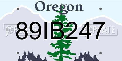 89IB247 Oregon License Plate