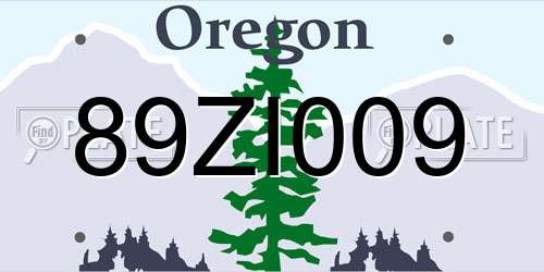 89ZI009 Oregon License Plate