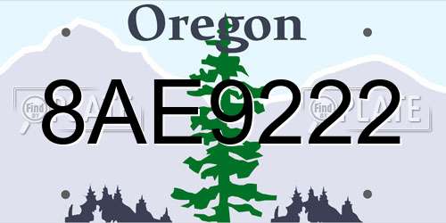 8AE9222 Oregon License Plate