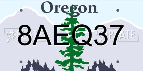 8AEQ37 Oregon License Plate