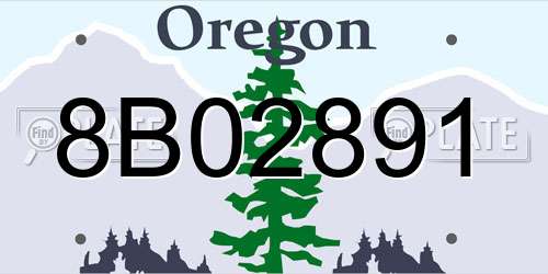 8B02891 Oregon License Plate