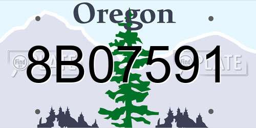 8B07591 Oregon License Plate