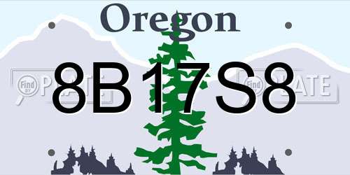8B17S8 Oregon License Plate