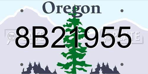 8B21955 Oregon License Plate