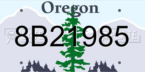 8B21985 Oregon License Plate