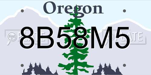 8B58M5 Oregon License Plate