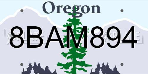 8BAM894 Oregon License Plate