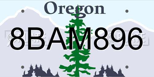 8BAM896 Oregon License Plate