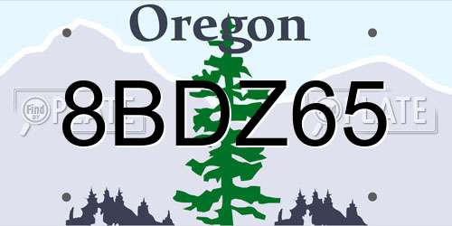 8BDZ65 Oregon License Plate