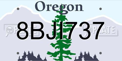 8BJI737 Oregon License Plate