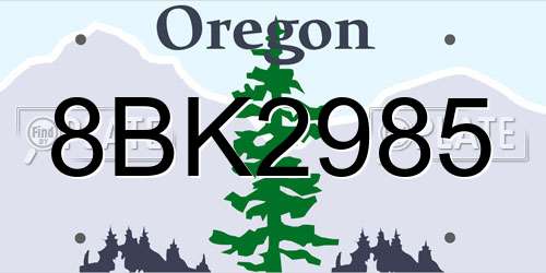 8BK2985 Oregon License Plate