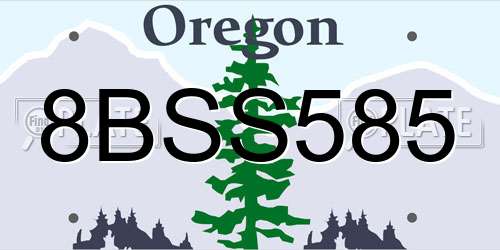 8BSS585 Oregon License Plate