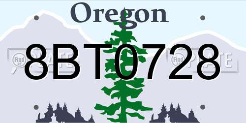 8BT0728 Oregon License Plate