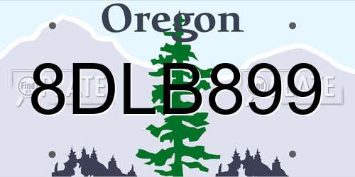 8DLB899 Oregon License Plate