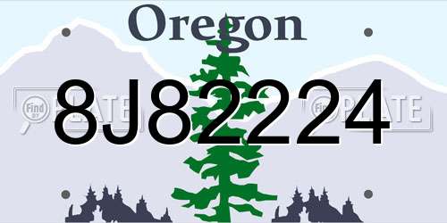 8J82224 Oregon License Plate