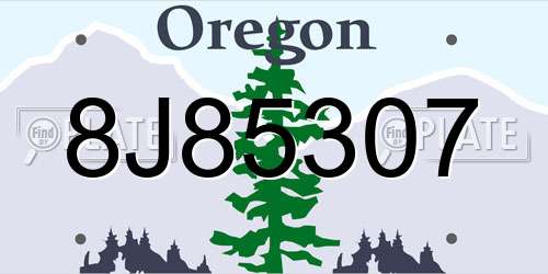 8J85307 Oregon License Plate