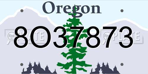 8O37873 Oregon License Plate